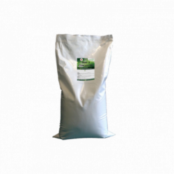 RMH 2 CONCENTRATE