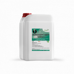 DERMASEPT SOFT SPRAY +