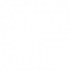 MANEX AUTOSECHANT E