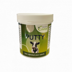 PUTTY