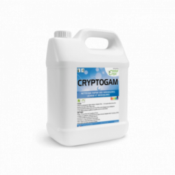 CRYPTOGAM