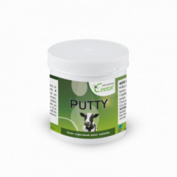 PUTTY