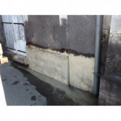 Thumbnail for NETFACADE