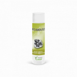 MECAMOUSSE