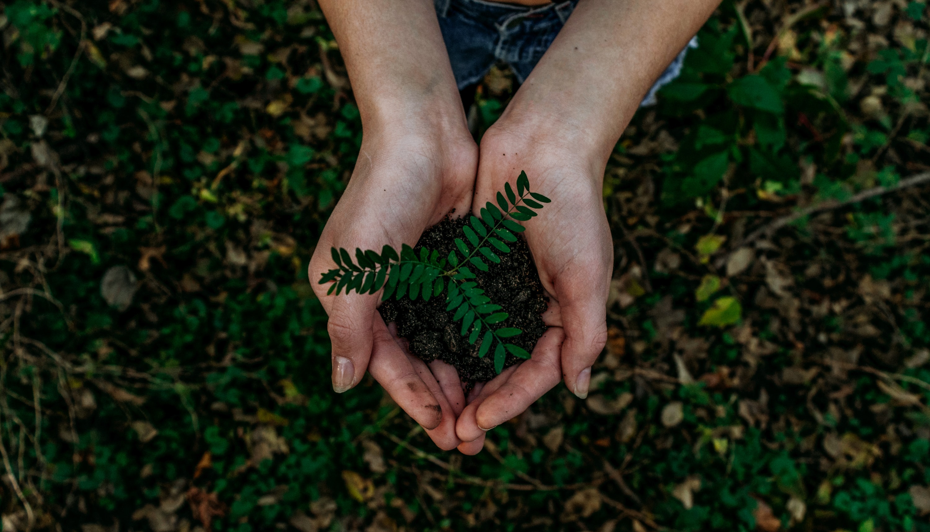 action pour l'environnement, biodégradable: